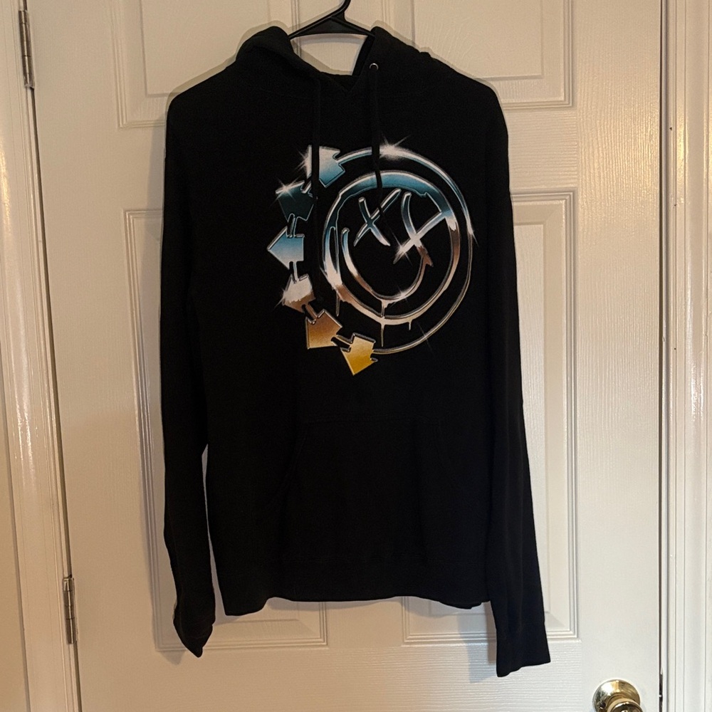 Early 2000s “Vintage” Blink-182 Band Hoodie